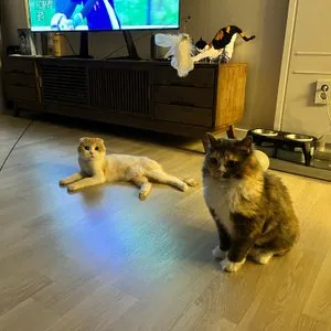 베스트 후기 이미지