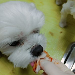 베스트 후기 이미지