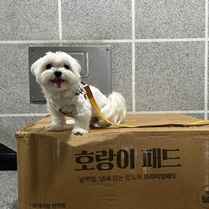 베스트 후기 이미지