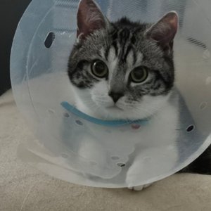 베스트 후기 이미지