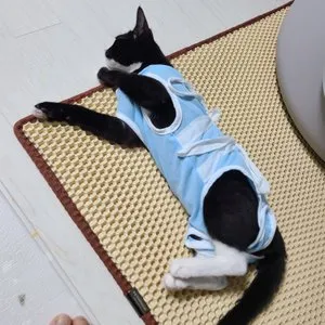 베스트 후기 이미지