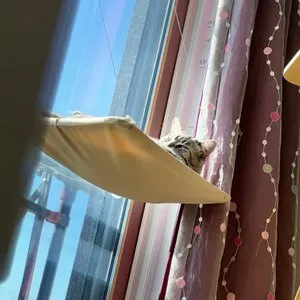 베스트 후기 이미지