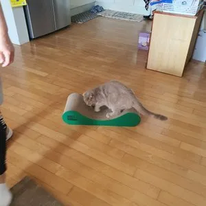 베스트 후기 이미지