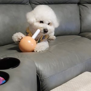 베스트 후기 이미지