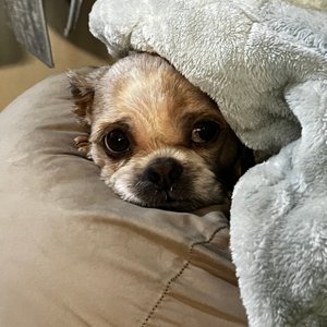 베스트 후기 이미지
