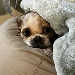 베스트 후기 이미지