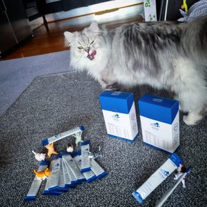 베스트 후기 이미지