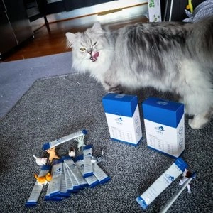 [창고대방출] [체험팩] 프로젝트21 캣 하루채움 닭&가자미 2p 베스트 후기 이미지