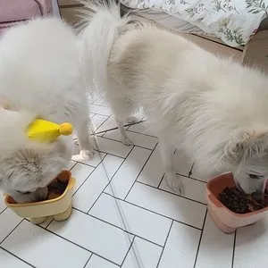 베스트 후기 이미지