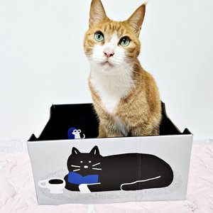 베스트 후기 이미지