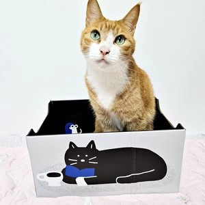 [무료배송] 옥희독희 더스트프리 목 편한 박스 스크래쳐 베스트 후기 이미지