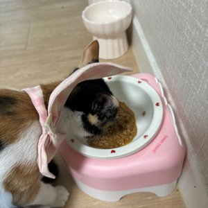 베스트 후기 이미지