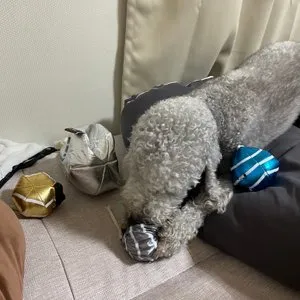 베스트 후기 이미지