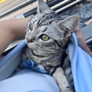 베스트 후기 이미지