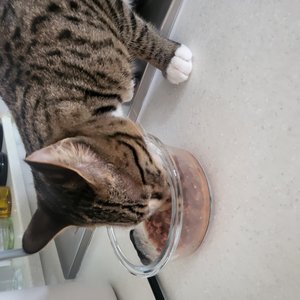베스트 후기 이미지