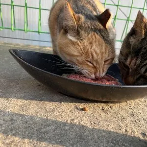 베스트 후기 이미지