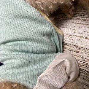 베스트 후기 이미지