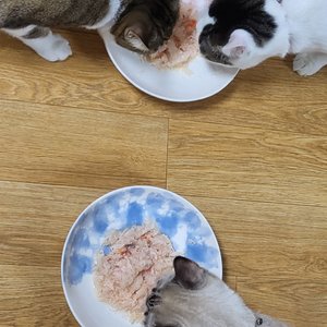 베스트 후기 이미지