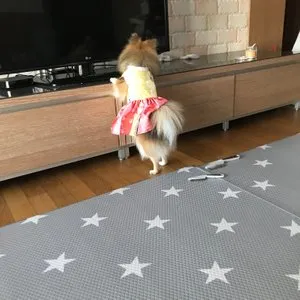 베스트 후기 이미지