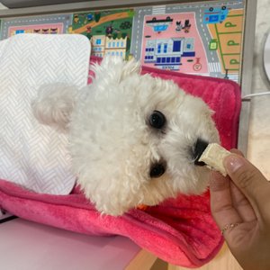 베스트 후기 이미지