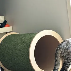 베스트 후기 이미지