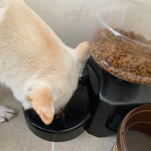 베스트 후기 이미지