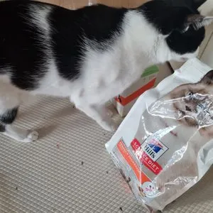 베스트 후기 이미지