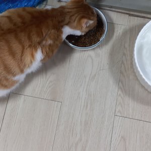 베스트 후기 이미지