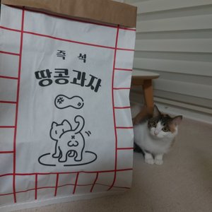 베스트 후기 이미지