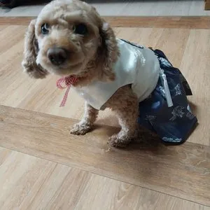 베스트 후기 이미지