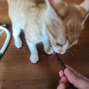 베스트 후기 이미지