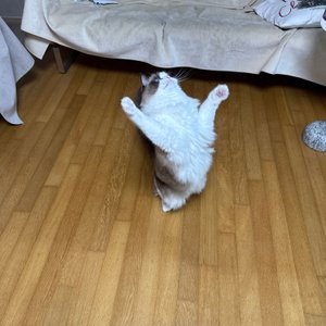 베스트 후기 이미지