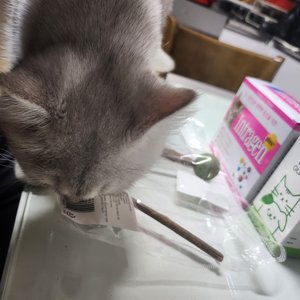 베스트 후기 이미지