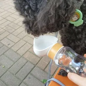 베스트 후기 이미지