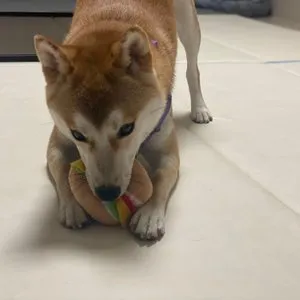 베스트 후기 이미지