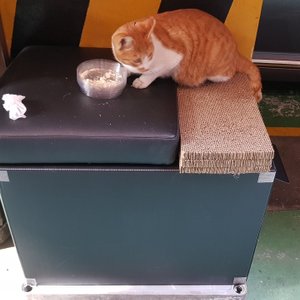 베스트 후기 이미지