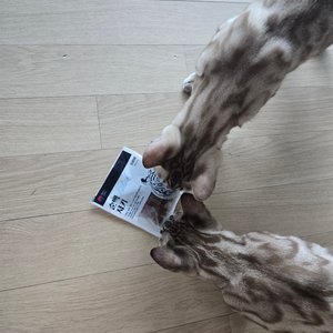 베스트 후기 이미지