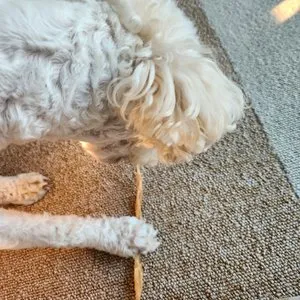 베스트 후기 이미지