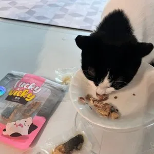 베스트 후기 이미지