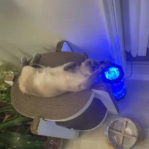 베스트 후기 이미지