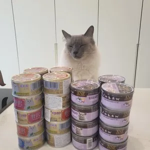 베스트 후기 이미지