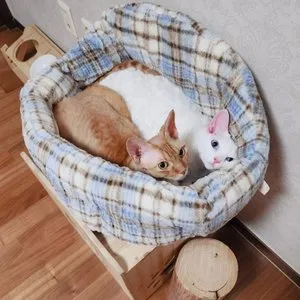 베스트 후기 이미지