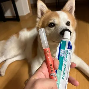 베스트 후기 이미지