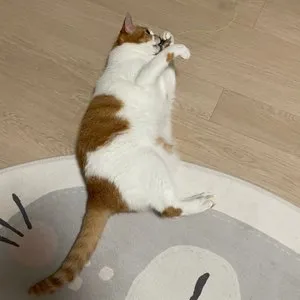 베스트 후기 이미지