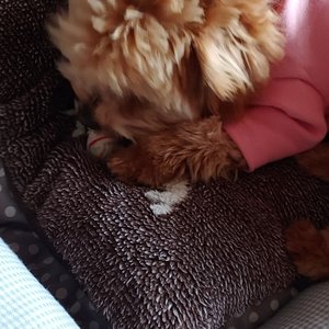 베스트 후기 이미지