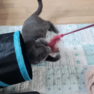 베스트 후기 이미지