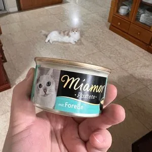 베스트 후기 이미지