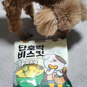 베스트 후기 이미지