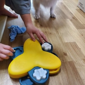 [무료배송] 요기쏘 토네이도 노즈워크 장난감 베스트 후기 이미지