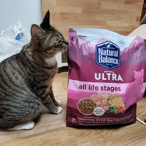 베스트 후기 이미지